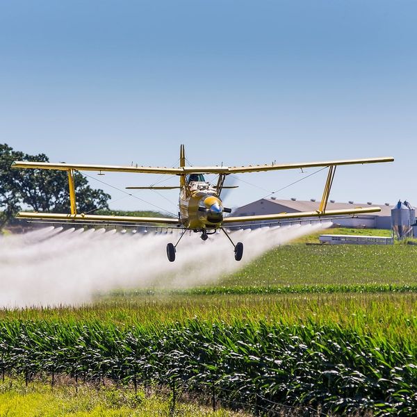 Crop duster airplane spraying agrochemicals on a corn field.