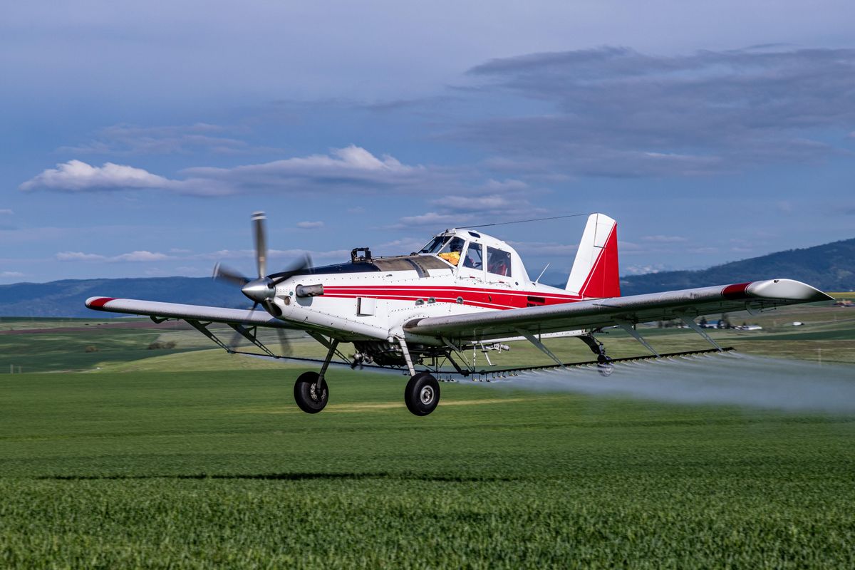 It Is Strongly Recommended That Pesticides Be Applied By