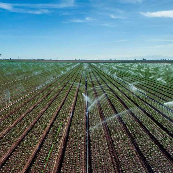 Crops under irrigation in expansive flat landscape