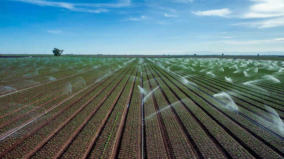 Colorado River crisis threatens crops, not Wyoming’s dam plans, experts say