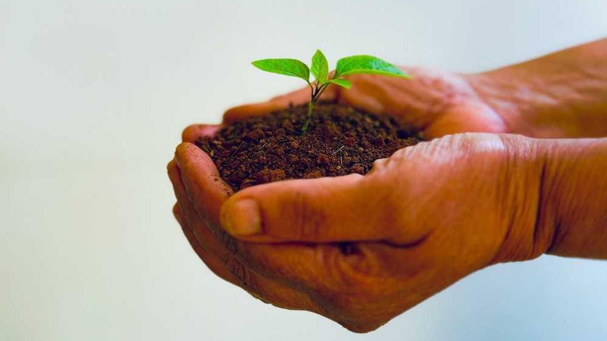 Human composting after death catches on among the…