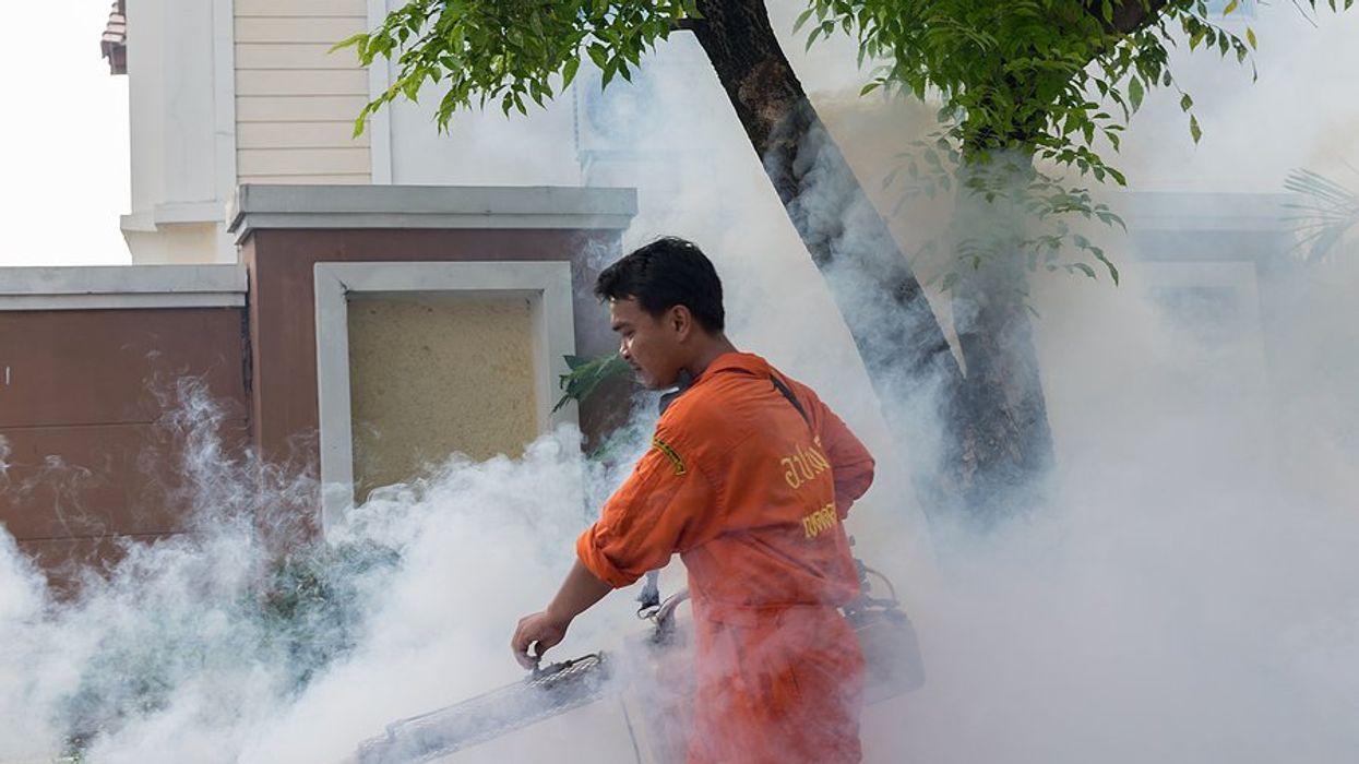 DDT legacy & controversy