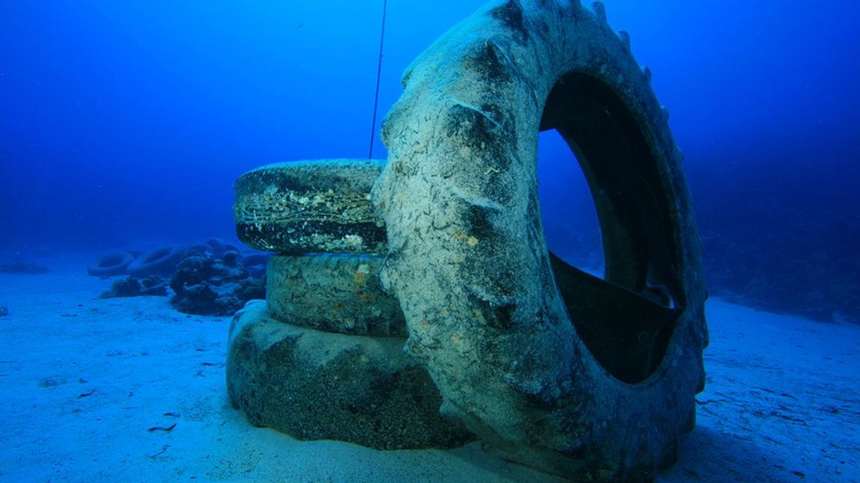 deep ocean ecology & threats