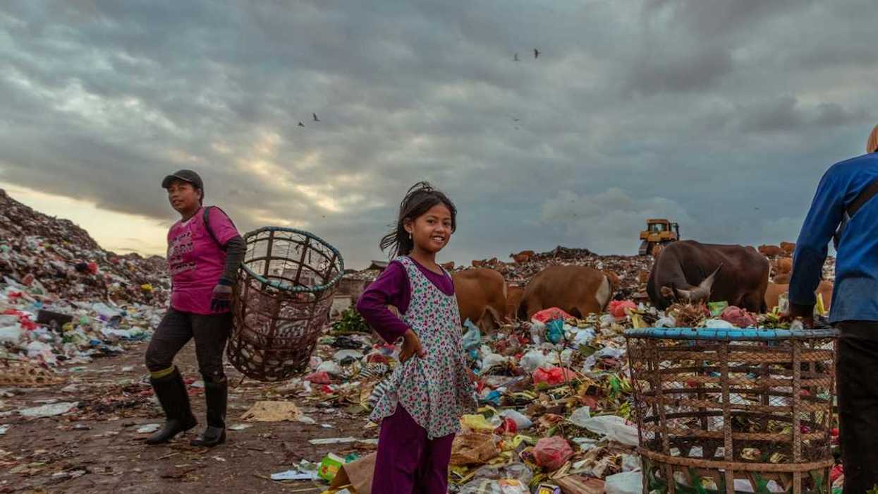 Denizens of the Suwung Landfill in Bali. Family of trash pickers with bovines in the background.