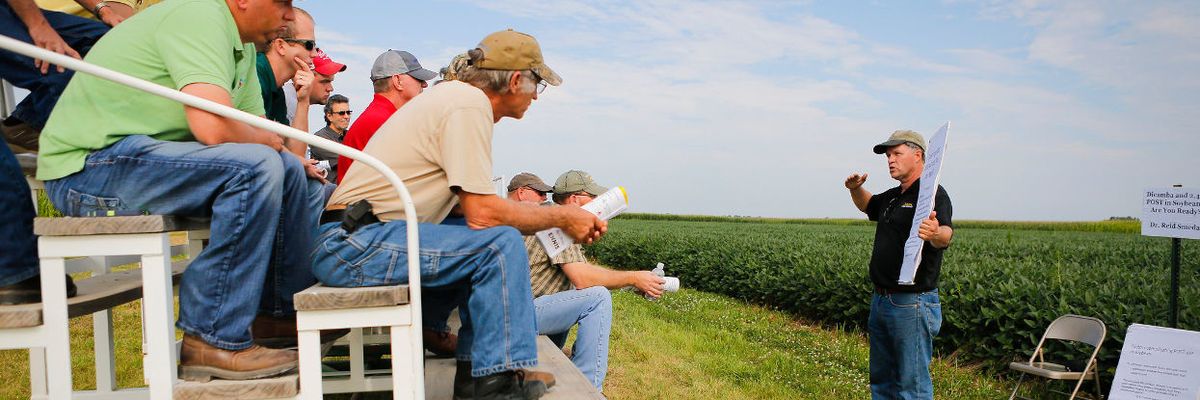 dicamba pesticide farmers