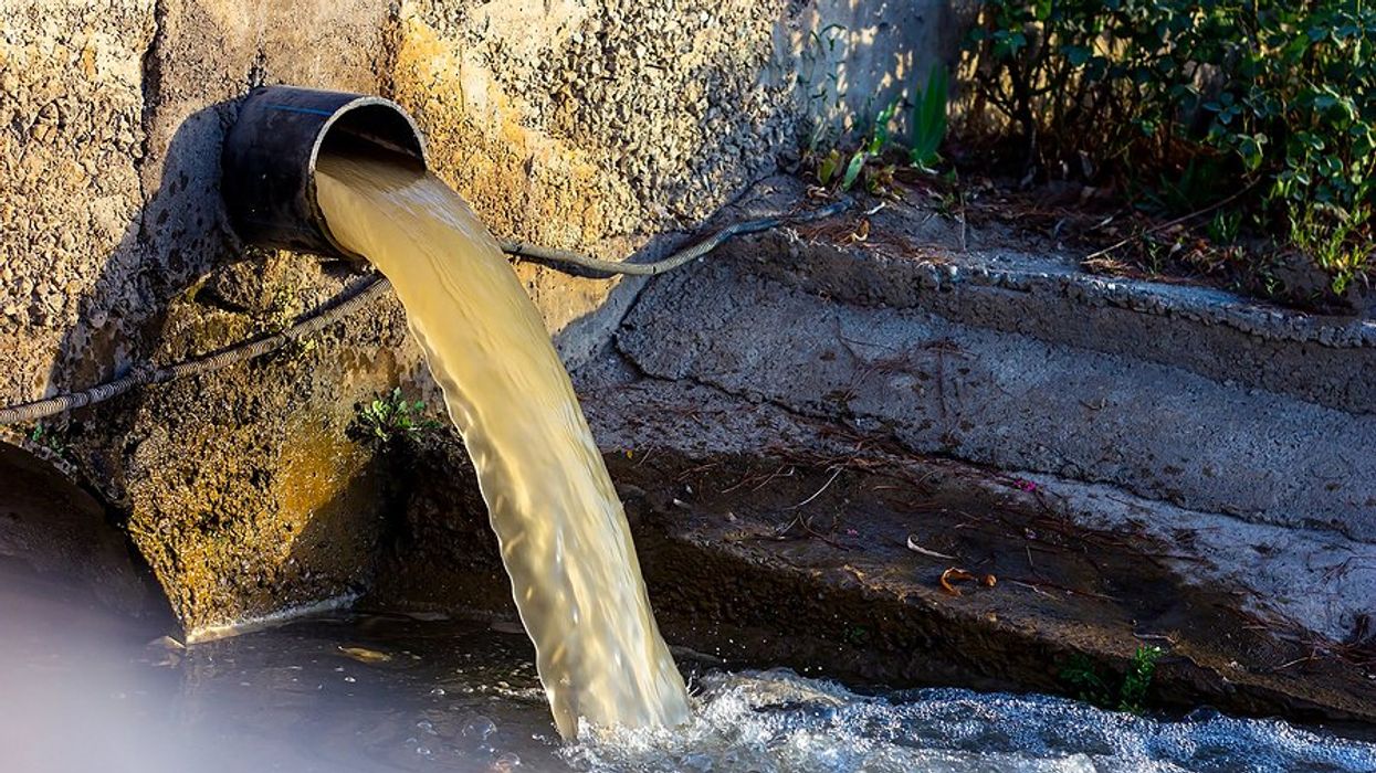 Dirty water flowing from a pipe into another water source.