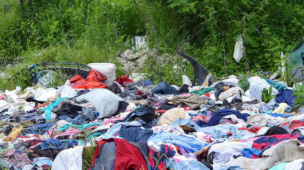 Discarded clothing amongst trees and brush in a rural setting