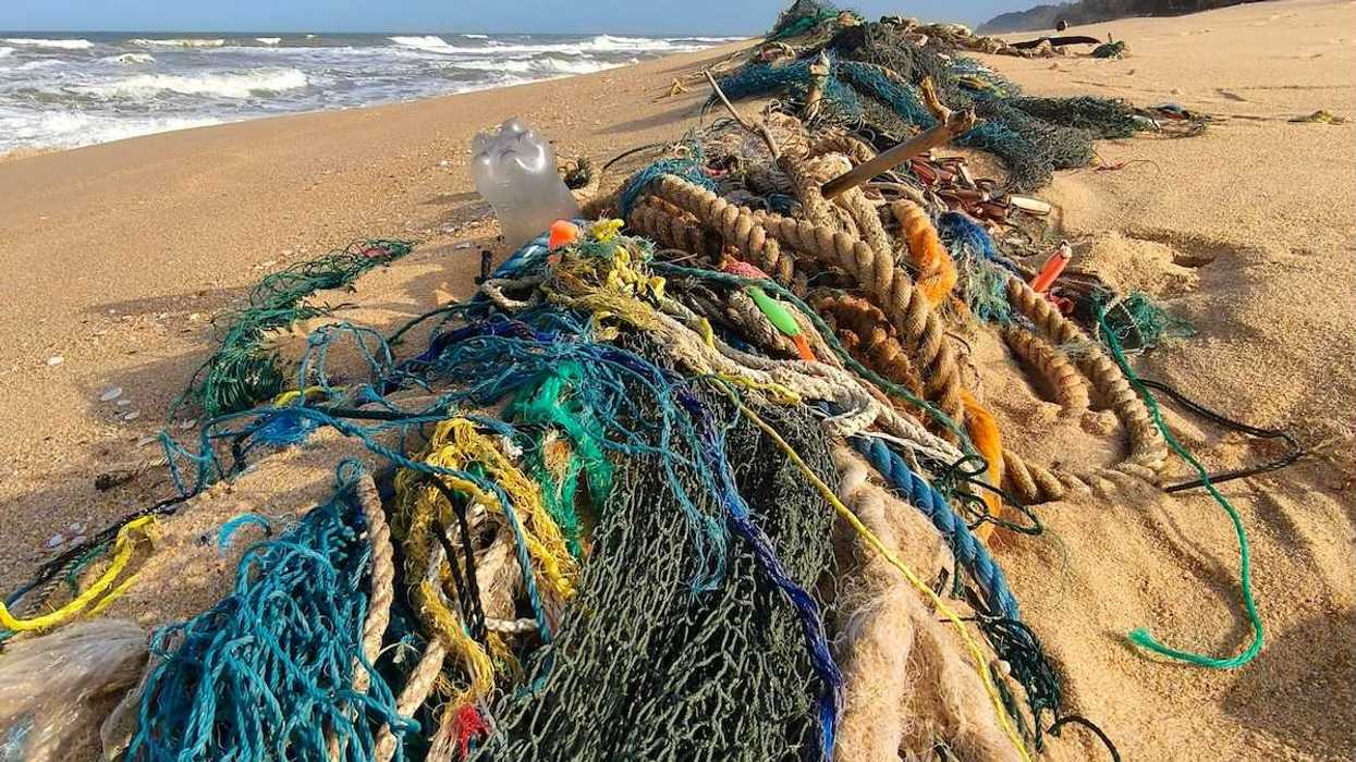 Discarded fishing gear along a beach - multicolored ropes and netting