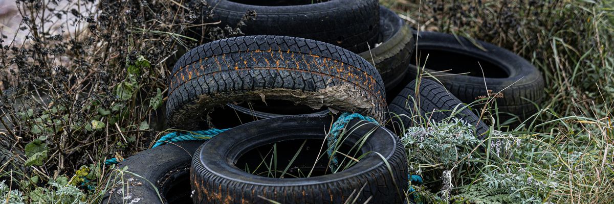 Discarded tires in a field