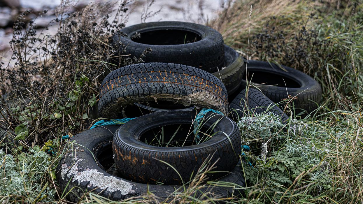 Discarded tires in a field