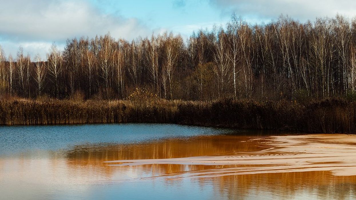 Discolored waste water being discharged into a lake or other water source with trees in background.