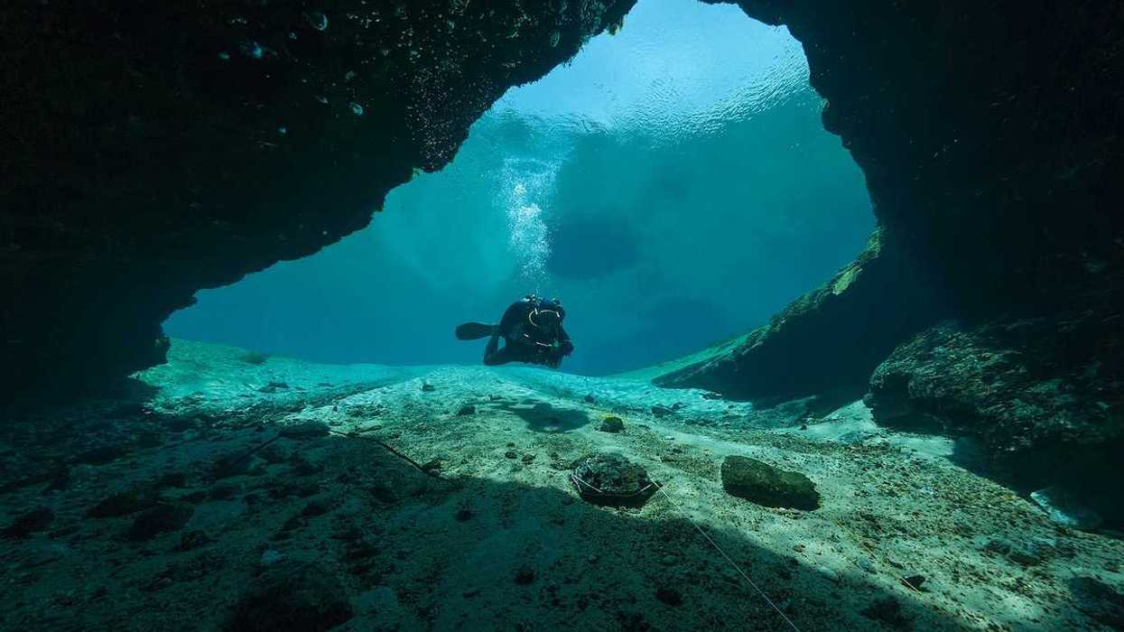 Divers doing underwater cave diving in Florida Jackson Blue cave