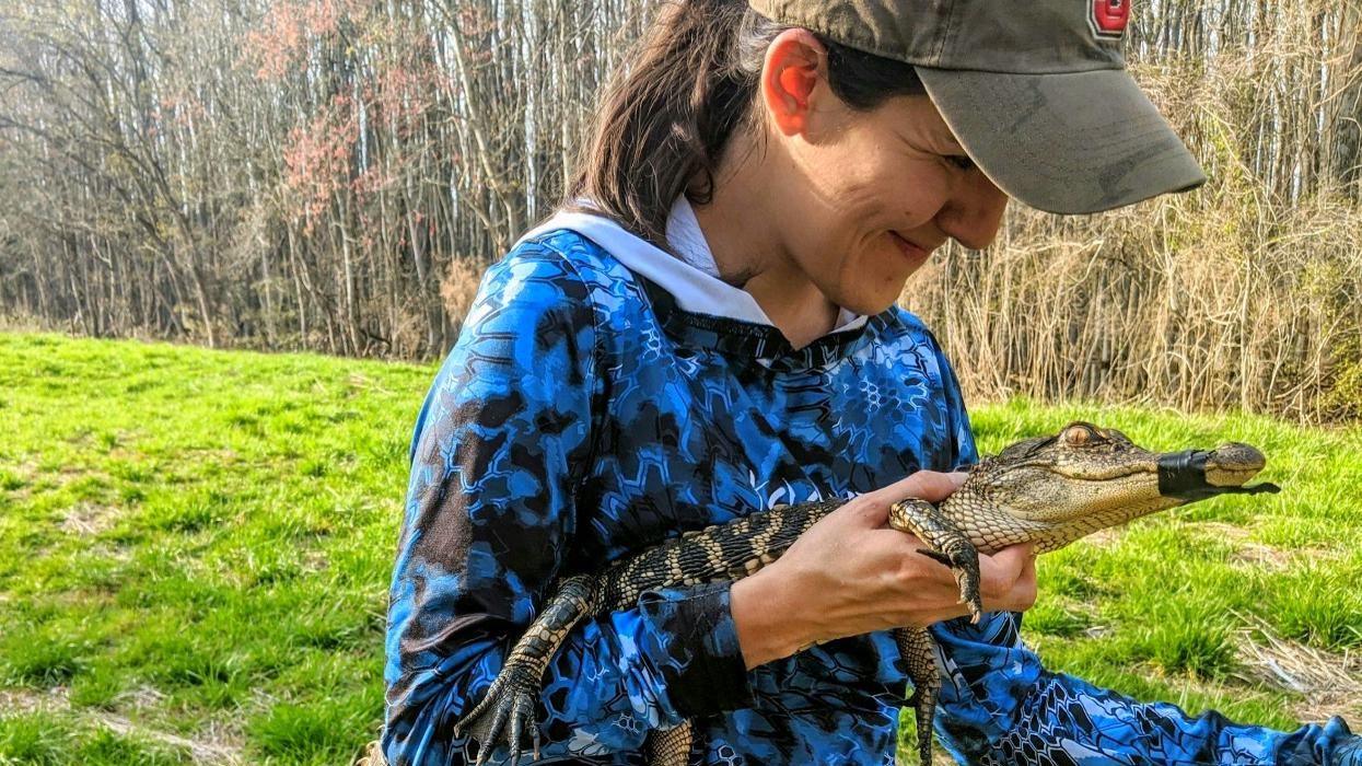 diversity outdoors nature