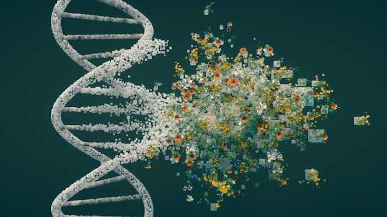 DNA strand dissolving into a colorful cluster of digital fragments.