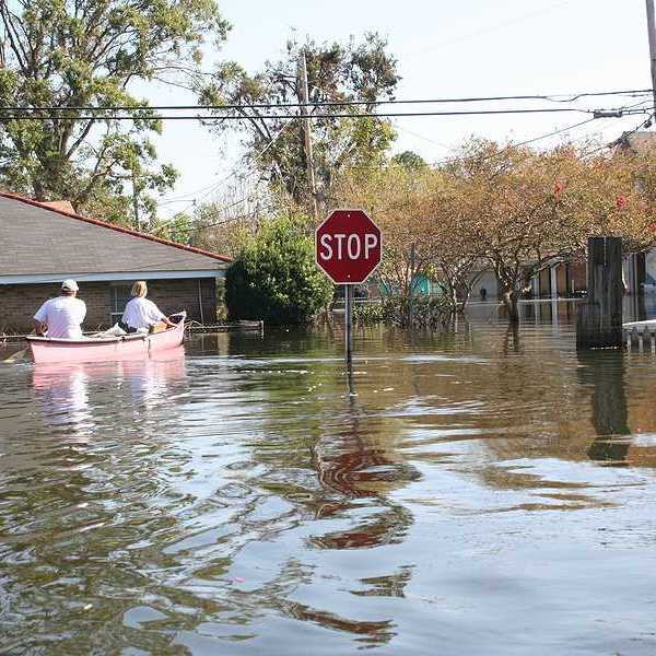 Downed power lines in a flooded area of New Orleans in the aftermath of Hurricane Katrina.