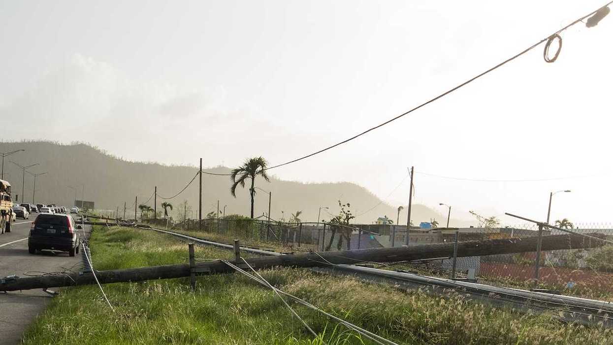 Downed powerlines from storm damage