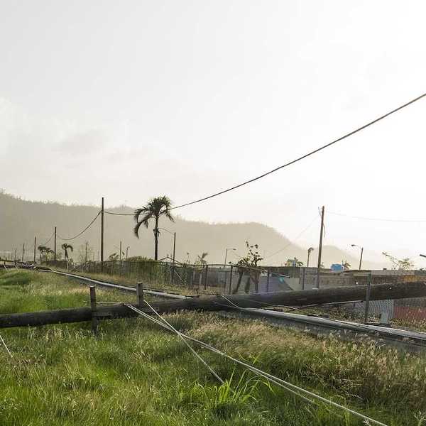 Downed powerlines from storm damage