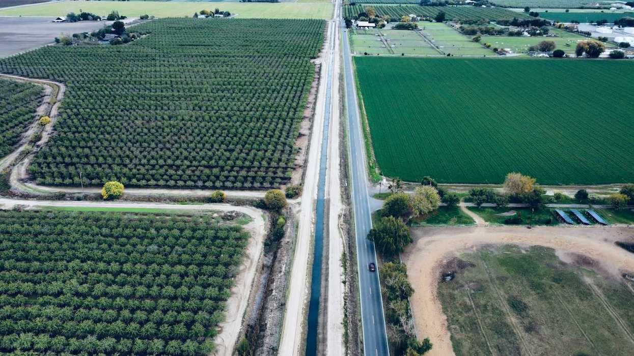 Drone shot of California agriculture — tree grove adjacent to highway and irrigation ditch