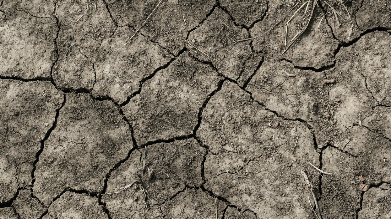 dry, cracked soil