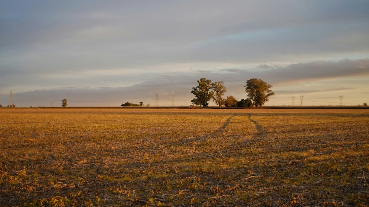 Dry field with tracks leading toward a farm house on the horizon in fading evening sun.
