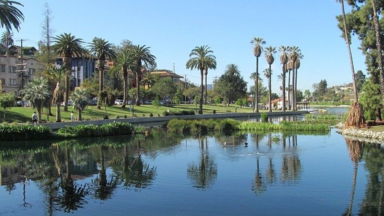 Echo park in Los Angeles with trees and water