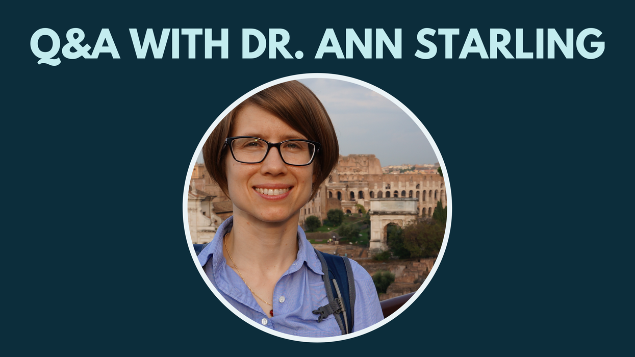 endocrine disruption chemicals