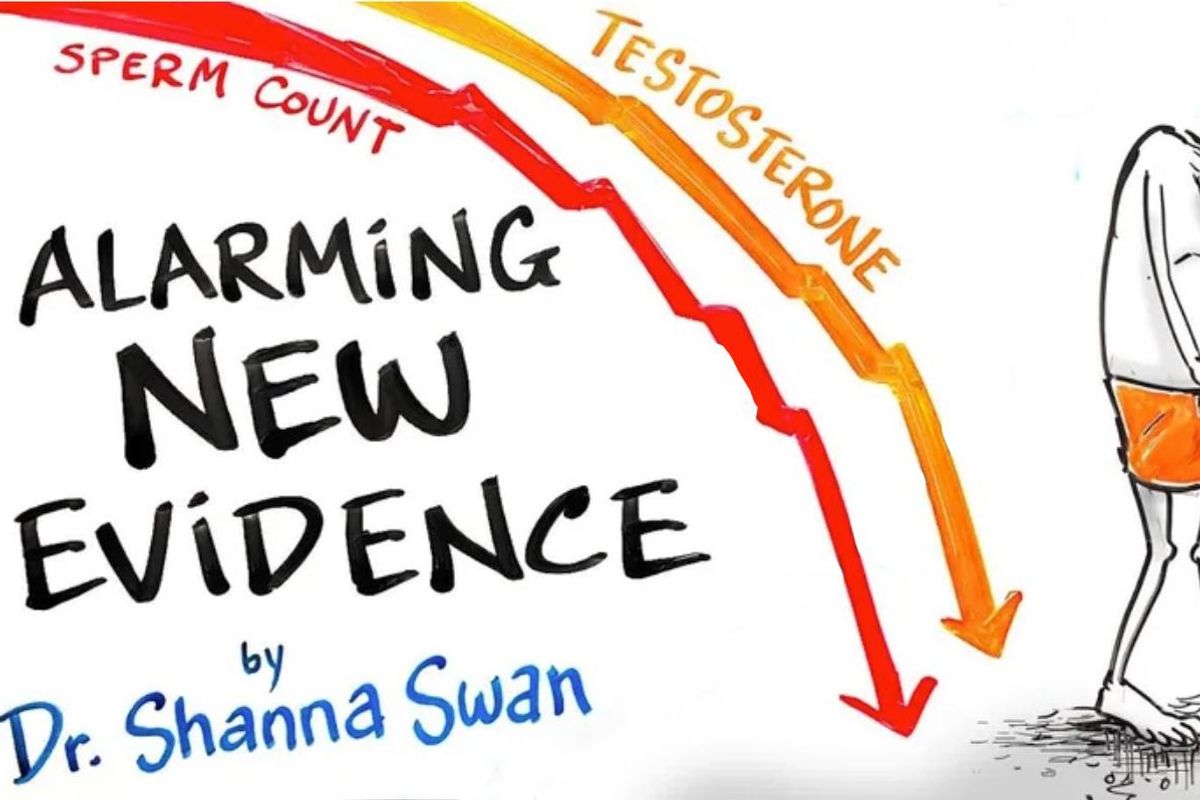 endocrine disruptors