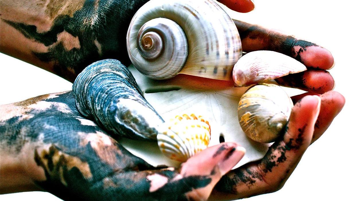 environmental art