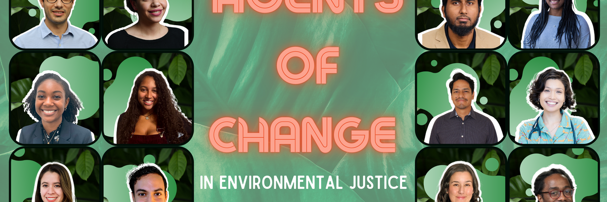 environmental justice fellows