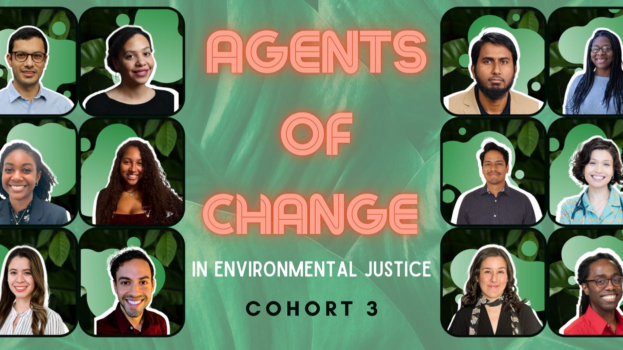 environmental justice fellows