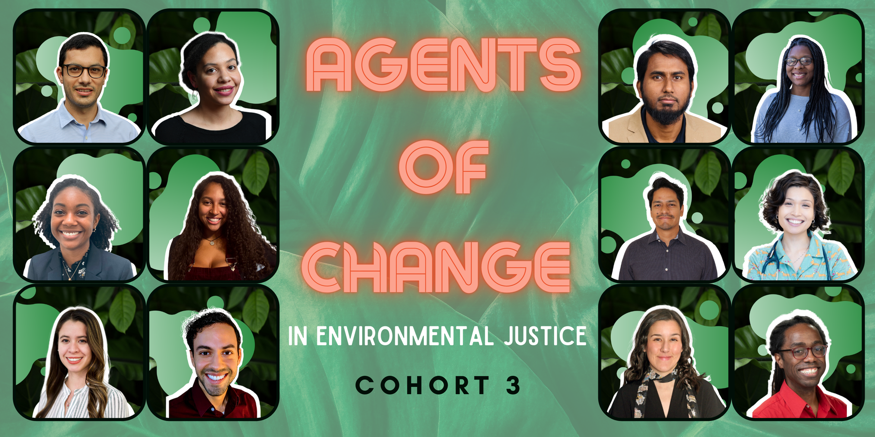 environmental justice fellows