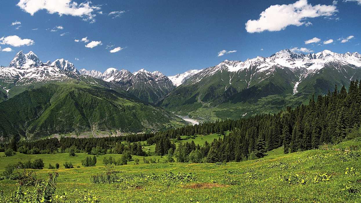 Environmental reporting can help protect citizens in emerging democracies