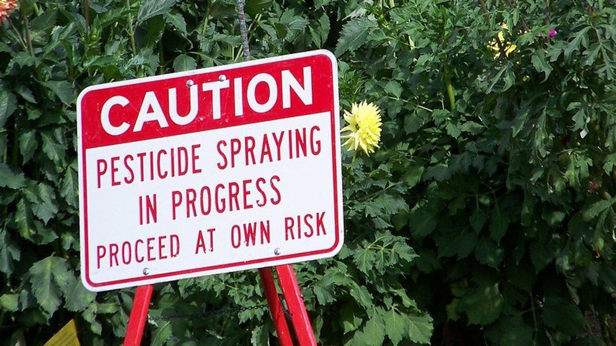 EPA scientific integrity questioned