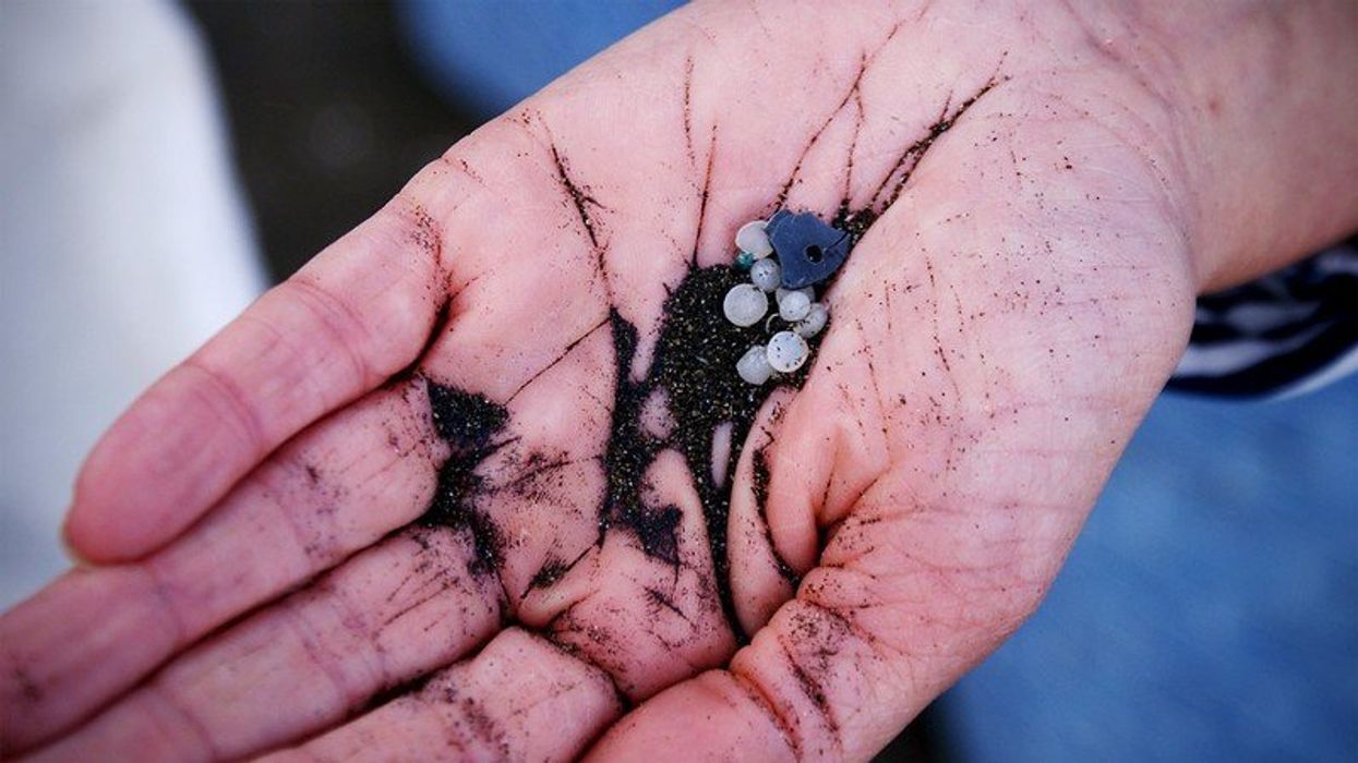 EU plastic pollution laws