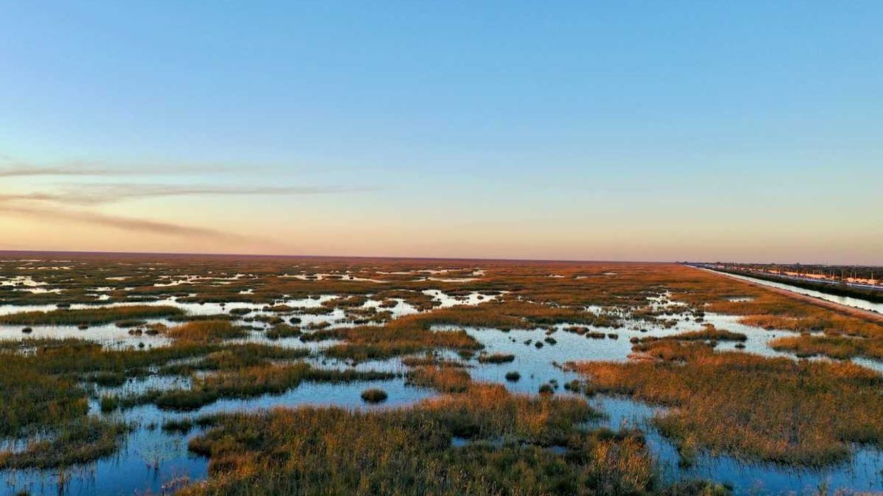 Now hitting deadline, Florida flunks Everglades pollution cleanup