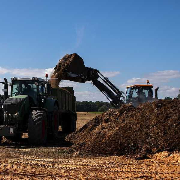 Excavator with a bucket loads organic fertilizer or manure on a tractor-pulled spreader in preparation for application to fields. blue sky copy space
