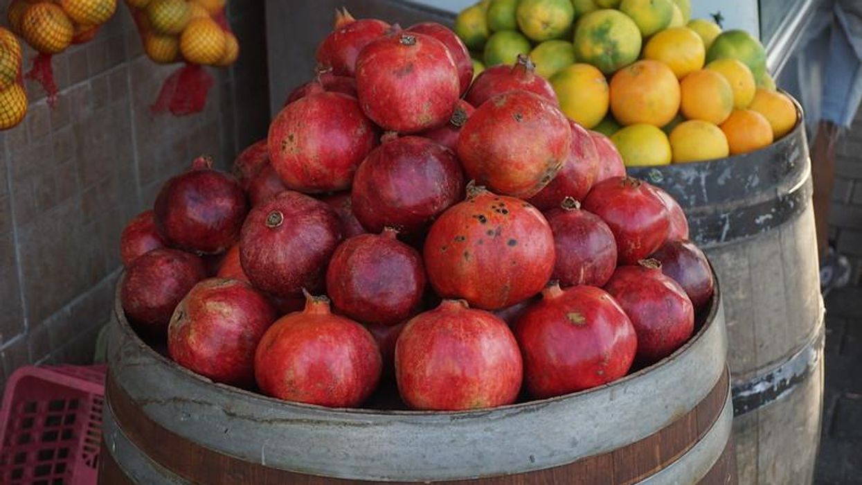 exotic plants grow in hot UK summer