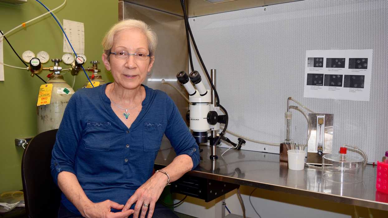Exposed: On the edge of research honesty