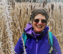 Sharon Levy