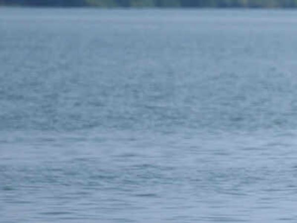 Nitrate pollution in Krishna River a grave risk to kids