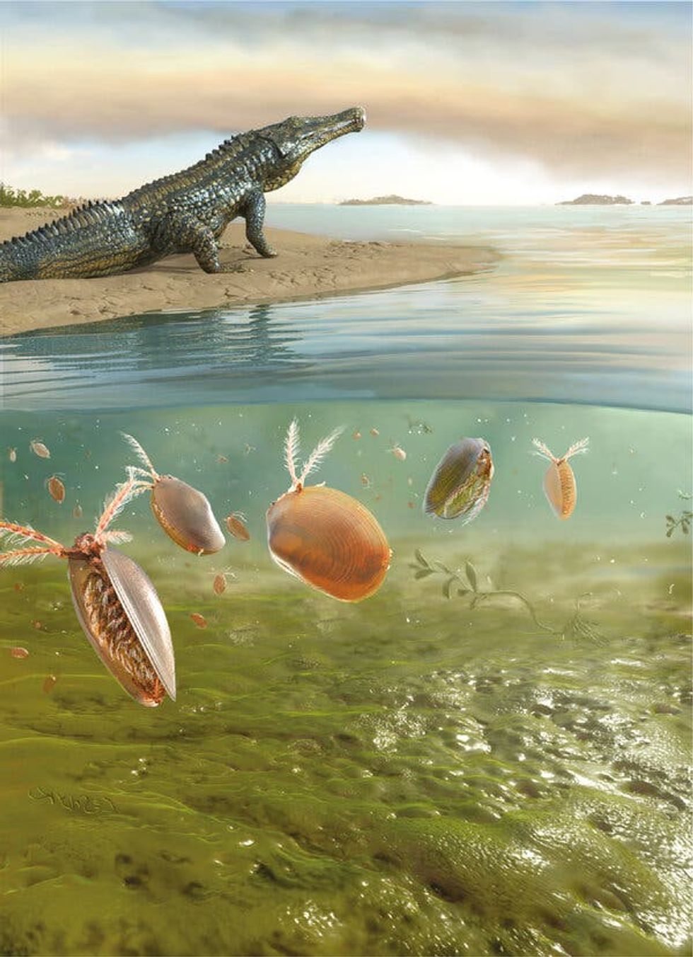 Dissolving in toxic oceans: How an ancient extinction happened