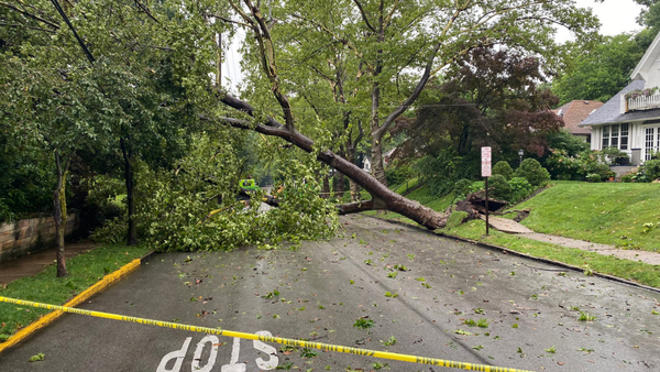 City says burying utility lines could prevent power outages