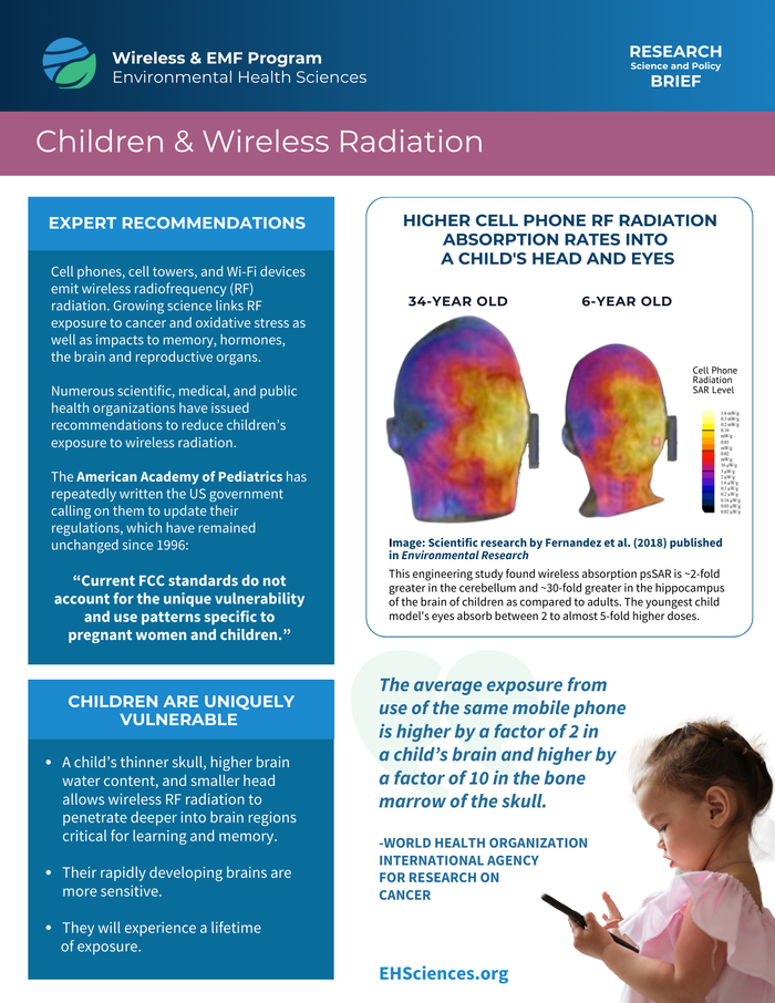Ficha informativa sobre os riscos da radiação de telemóveis sem fios para a saúde das crianças