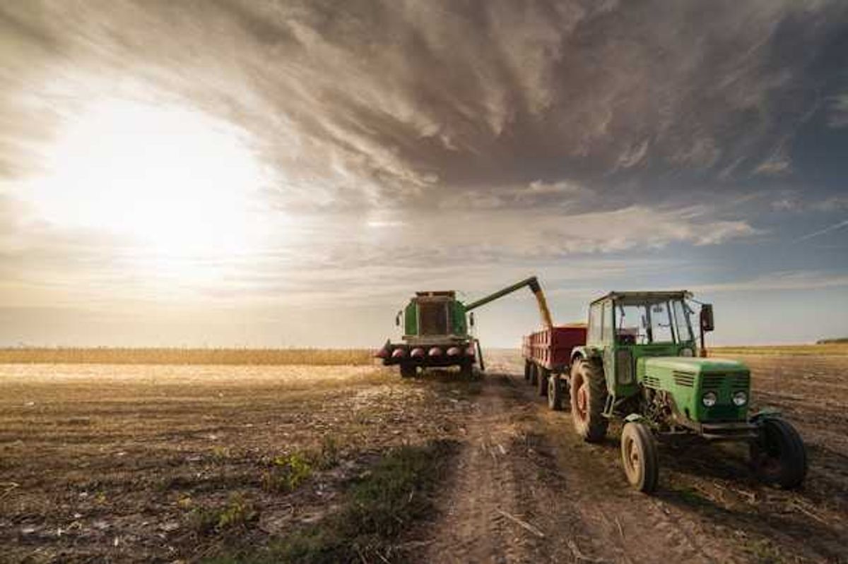 SC regulators didn’t stop sludge spreading, despite…