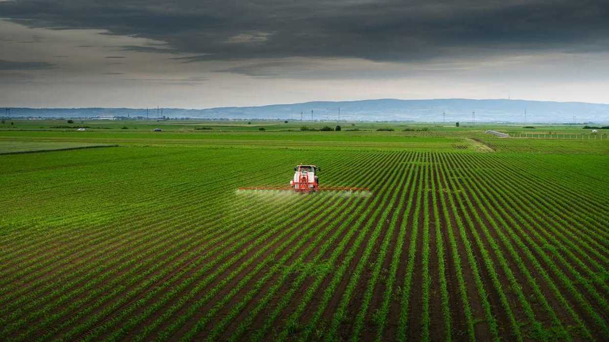 Farm machine spraying a Midwest row crop