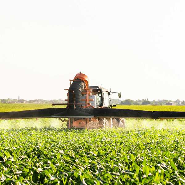 farm
