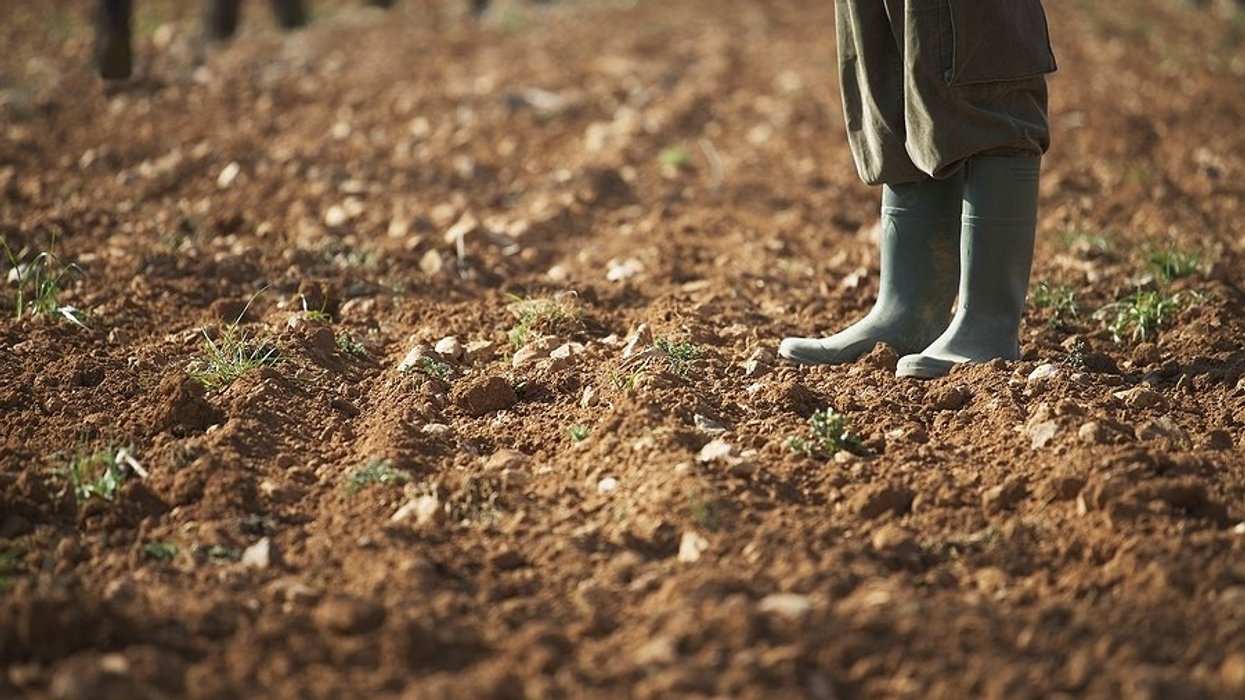 Farmer in rubber boots standing on a farm field