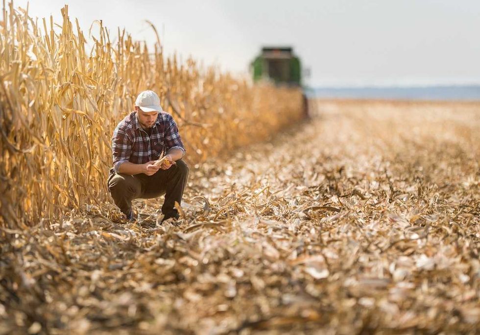 How to feed the world as temperatures rise