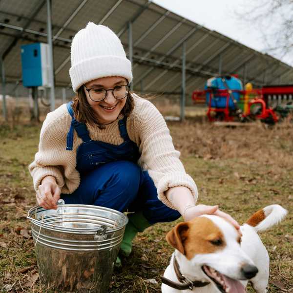 Farmer with stainless steel bucket squatting behind solar panels and petting a brown and white dog