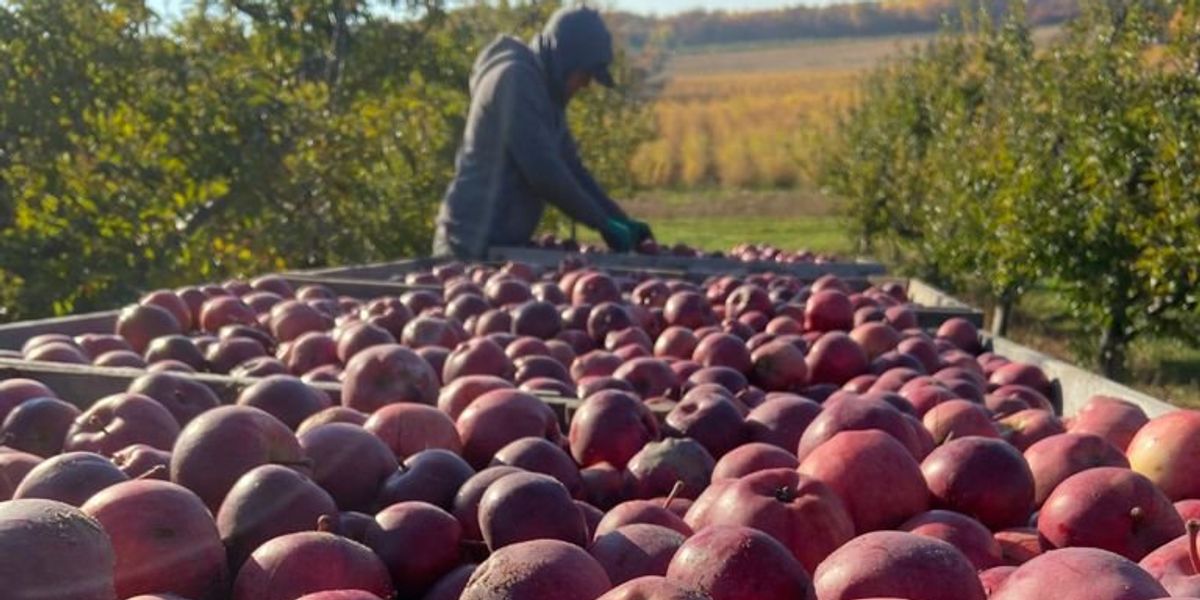 Farmworkers rights health